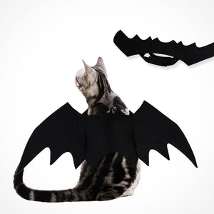 Halloween Cat Bat Wings Collar Harness Decor