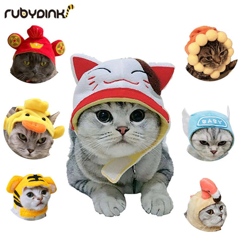 Cat clothes costume halloween