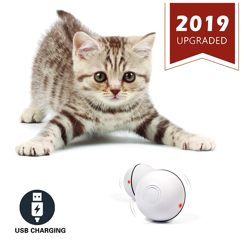 Smart Interactive Cat Toy USB Rechargeable