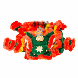 Funny Cat Costume Lion Dance Clothes