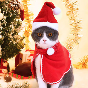 Christmas Decor Christmas Cat Clothes