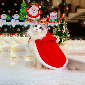 Christmas Cat Clothes Costume