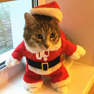 Christmas Cat Clothes 2020