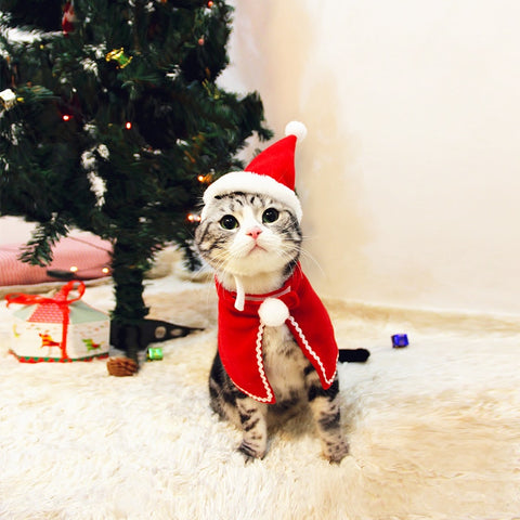 Cat Clothes Christmas Costume