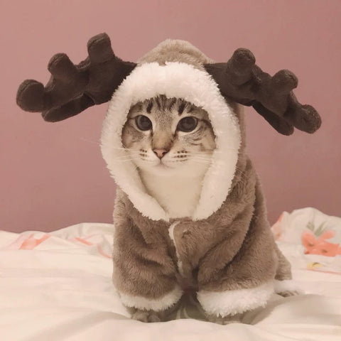 Winter Cat Clothes Warm Fleece