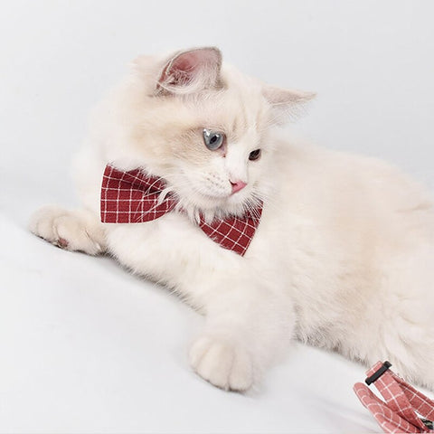 Adjustable Cats Necktie Collar