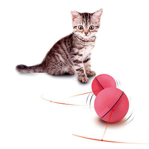 Cat LED Light Laser Ball Teaser