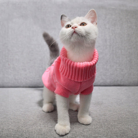 Cat Clothing Winter Autumn Warm