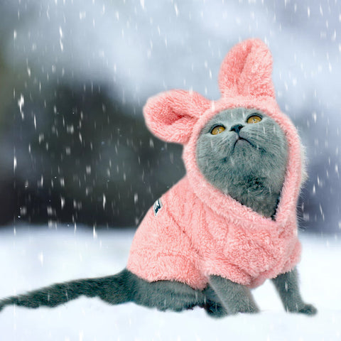 Warm Cat Clothes Winter