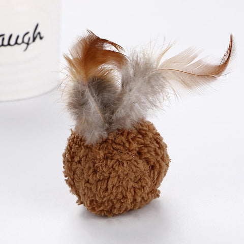 Funny Pet Toys Ball Feather Mint Toy Cat