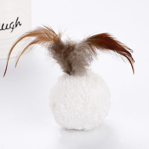 Funny Pet Toys Ball Feather Mint Toy Cat