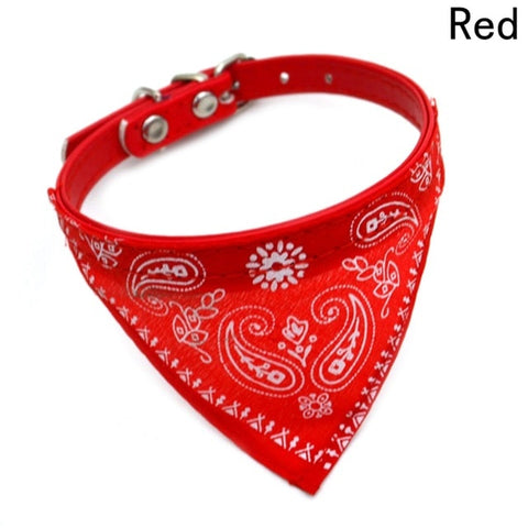 2020 New Fahsion Small Cat Scarf Adjustable