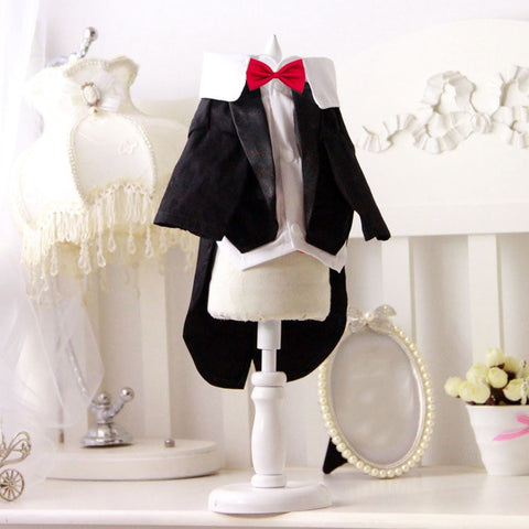 Cat Wedding Dress Boy Cat Tuxedo