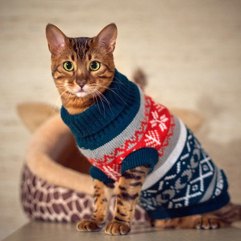 Snowflake Sphinx Cat Sweater Knitwea